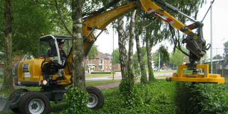 Specialisatie